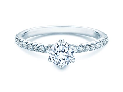 Anillo de compromiso Royal Pavé